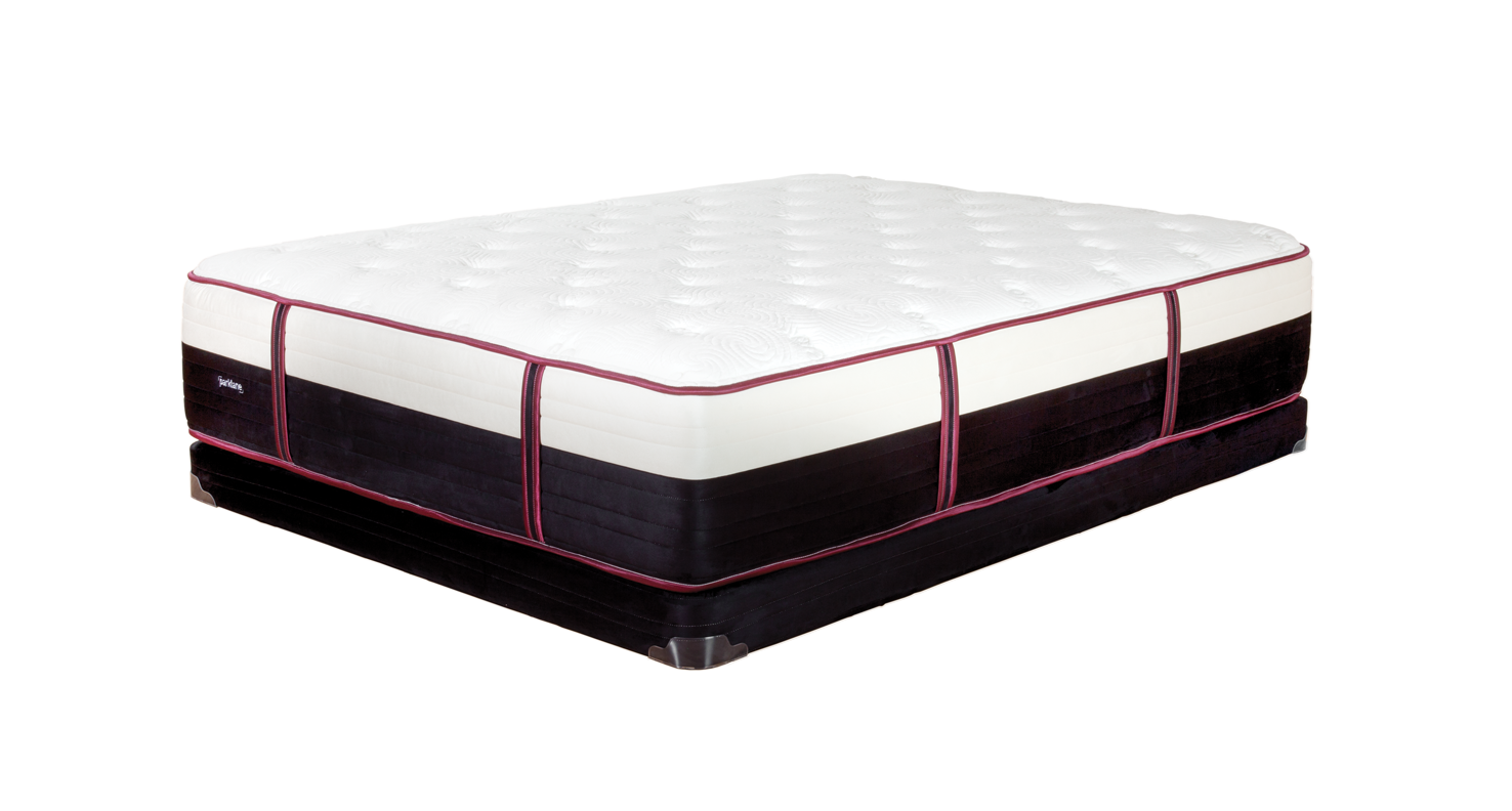 The Kearney - Marshall Coil Mattresses